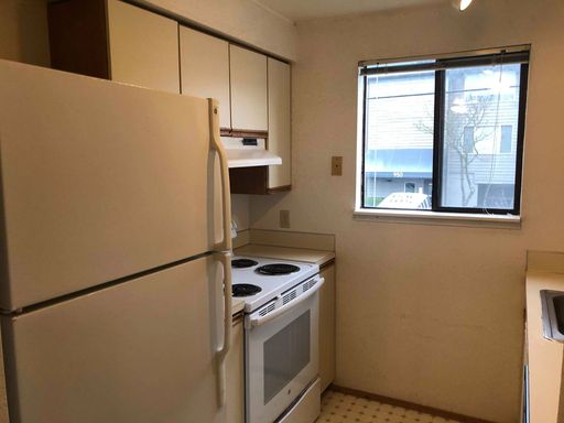 Spacious 1 Bedroom, Lots of Natural Light! Off Street Parking Available! – photo 1