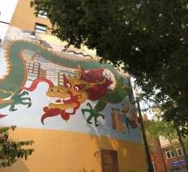 Image 24