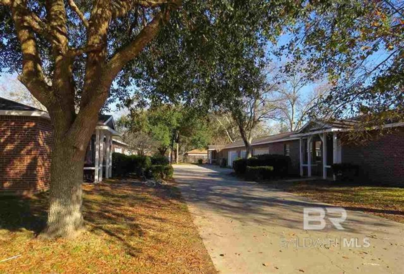 Foley Apartment: N Cedar Street