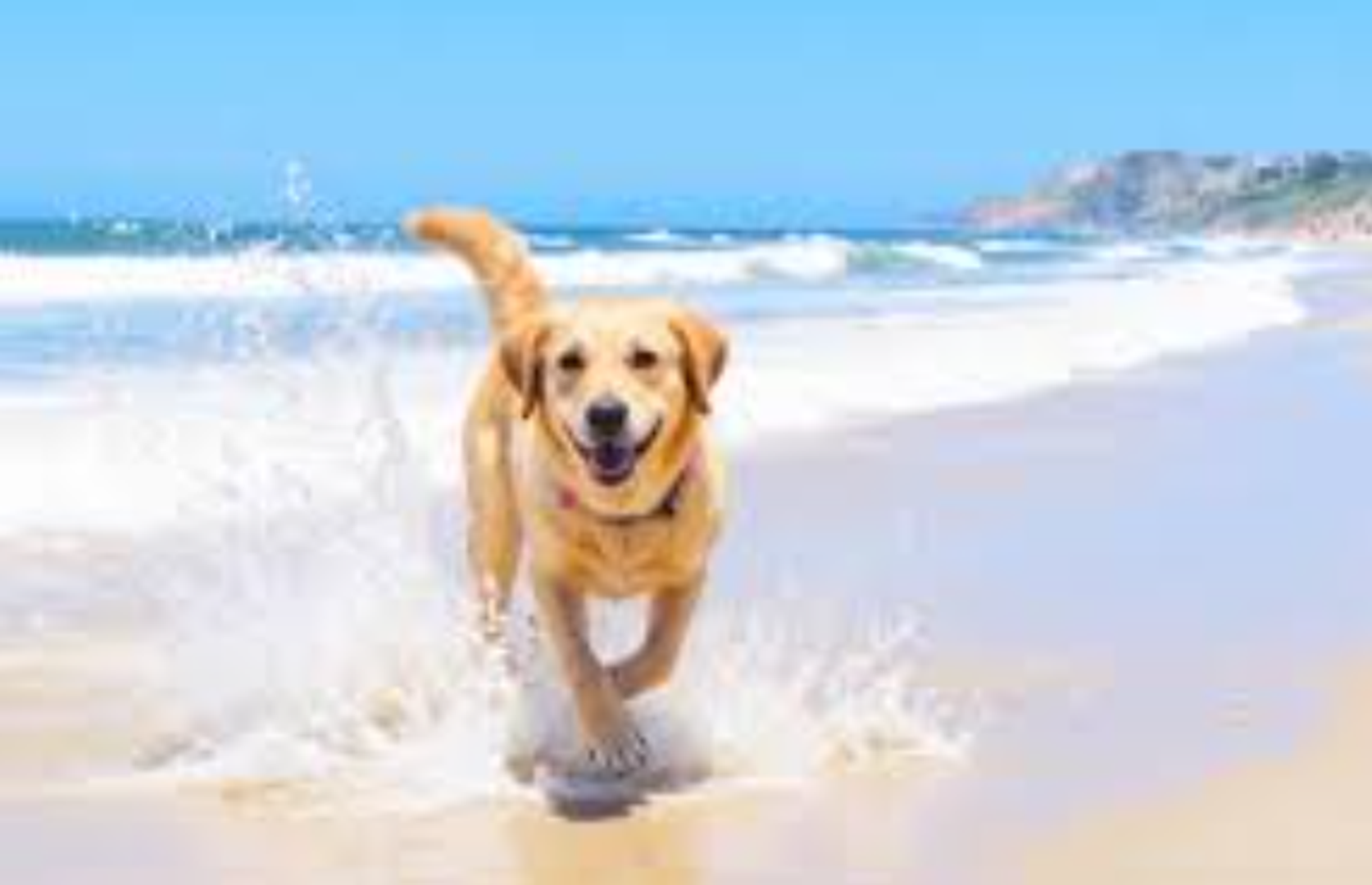 St. Johns Townhome: 165 Boracay Circle