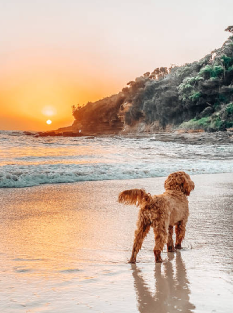 St. Johns Townhome: 133 Boracay Circle