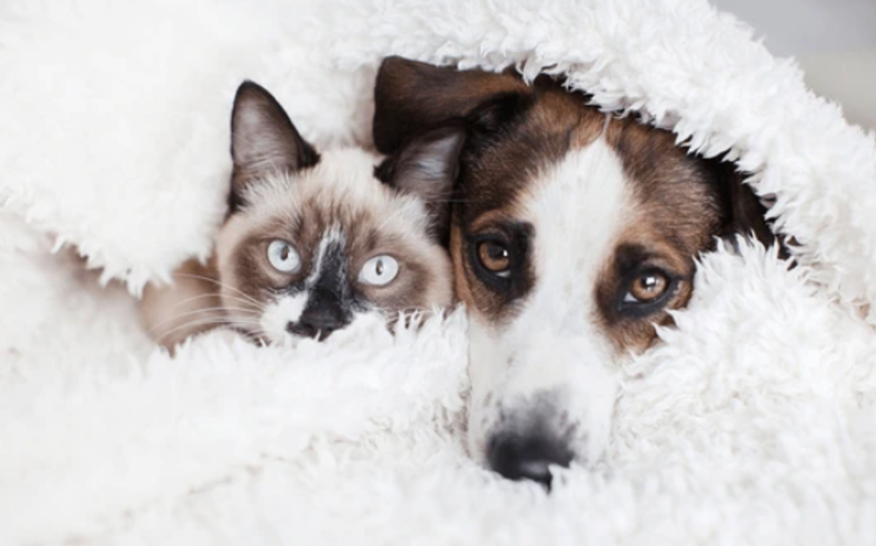 St. Augustine Townhome: 104 Whispering Brook Drive