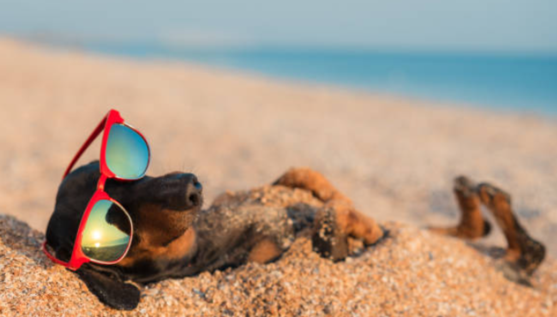 St. Johns Townhome: 133 Boracay Circle