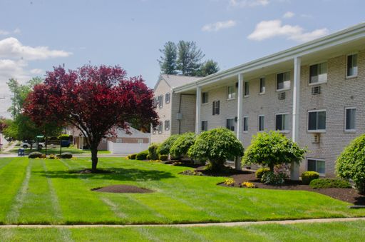 Renovated 1 bedroom with a den, middle floor