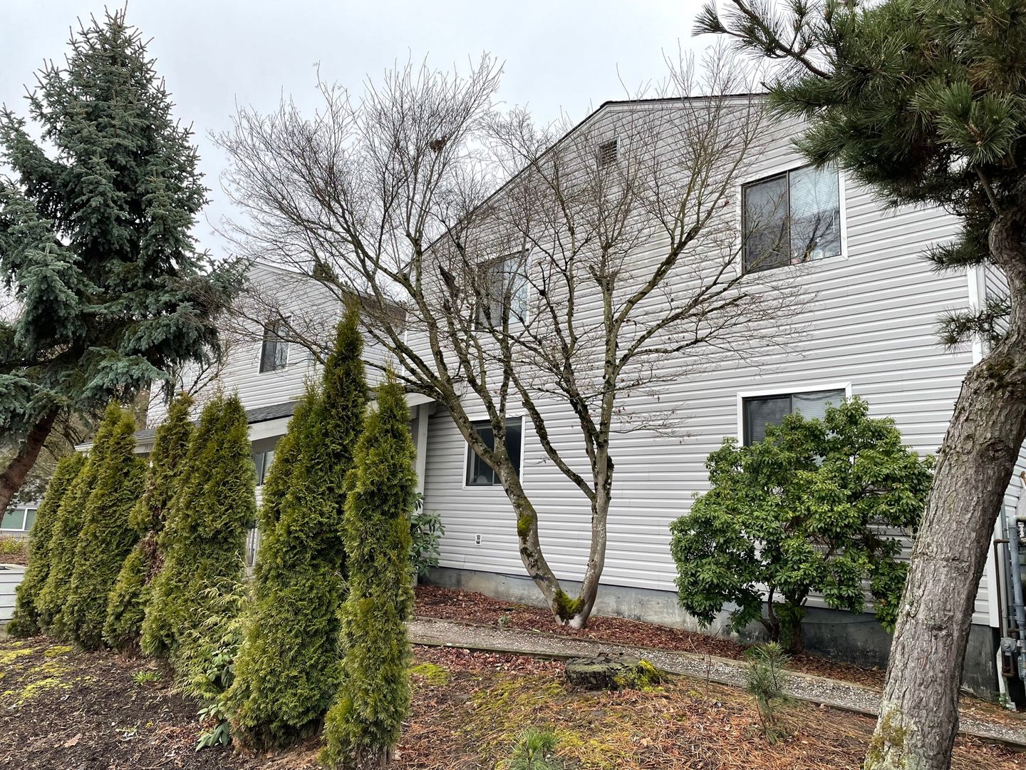 Bellingham Apartment: 1900 Alabama St