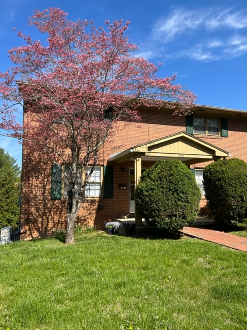 Lexington Apartment: 203 Myers Street