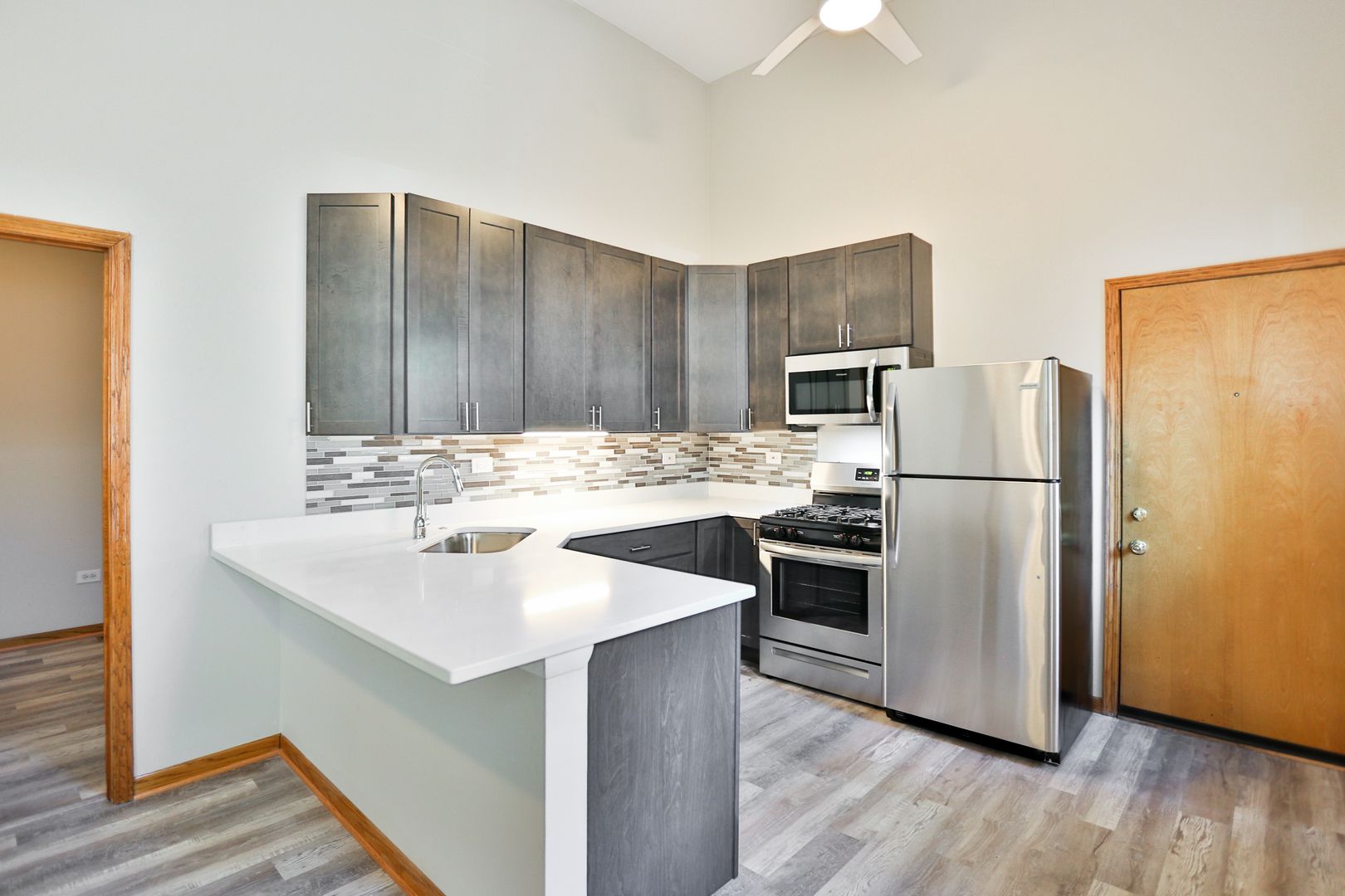 Chicago Apartment: 1435 W Blackhawk St, #3R