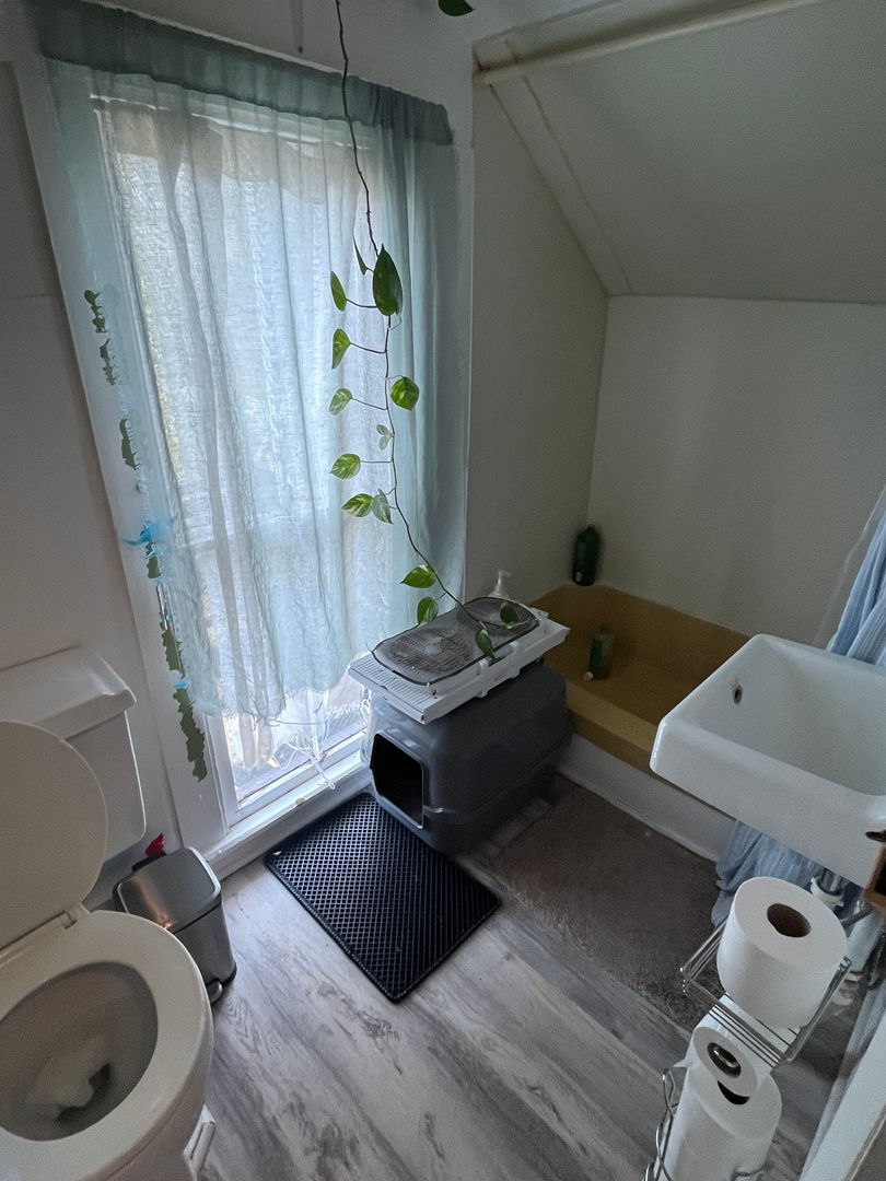 Bellefonte Apartment: 311 E Bishop St