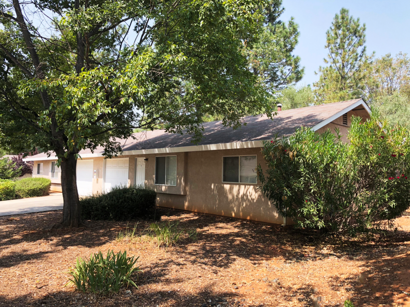 Paradise Apartment: 5455 Sawmill Road