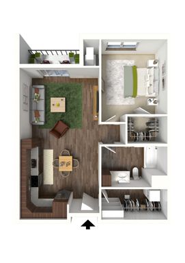 1 Bed 1 Bath (B1)