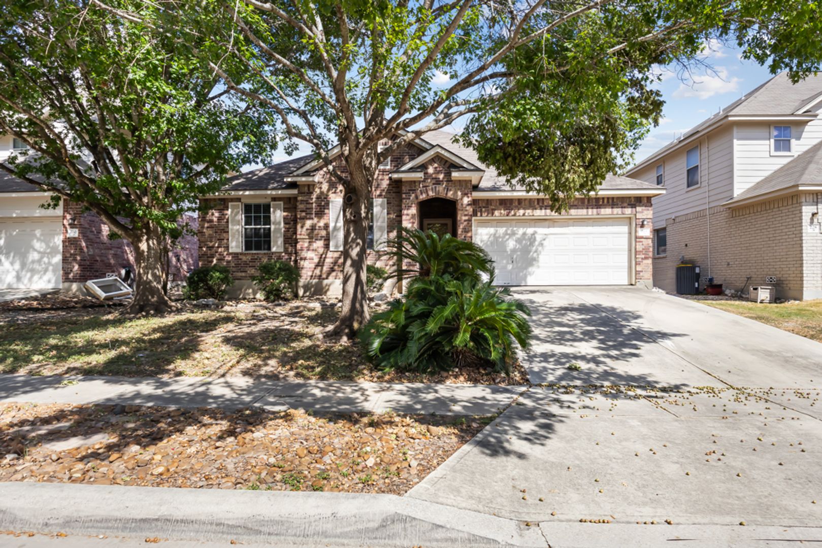 Cibolo House: 224 Lieck Cove