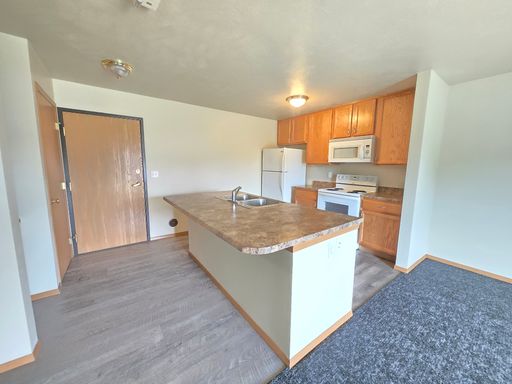 East Sioux Falls 1 Bedroom – First-Floor Walkout, Huge Walk-In Closet & Most Utilities Paid – photo 1