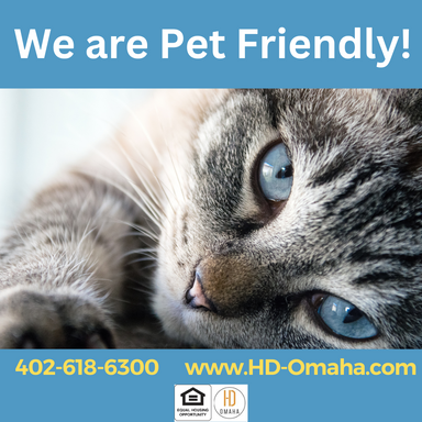 Fantastic 2 bedroom midtown townhome with updates! Pet Friendly – photo 1