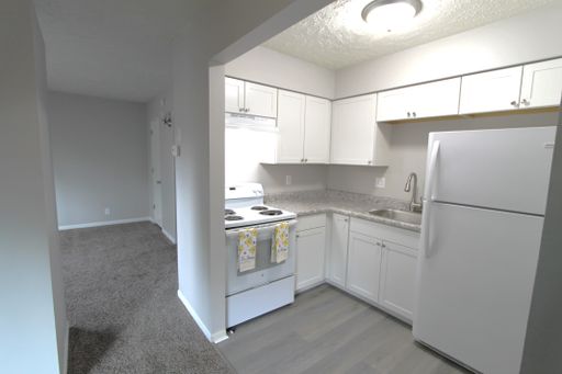 Great location and beautiful updates. Pet friendly one bedroom in Bellevue. – photo 1