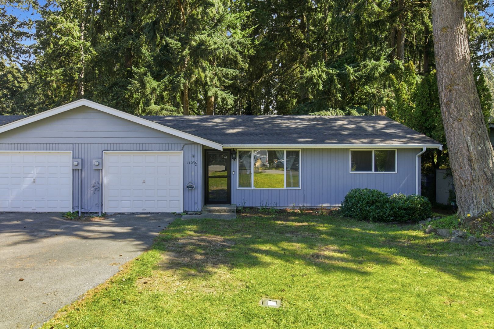 Steilacoom Multiplex: 1103 Galloway St