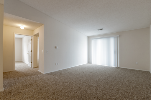 800 Evergreen Drive, Apt. #315, Burnsville, MN 55337