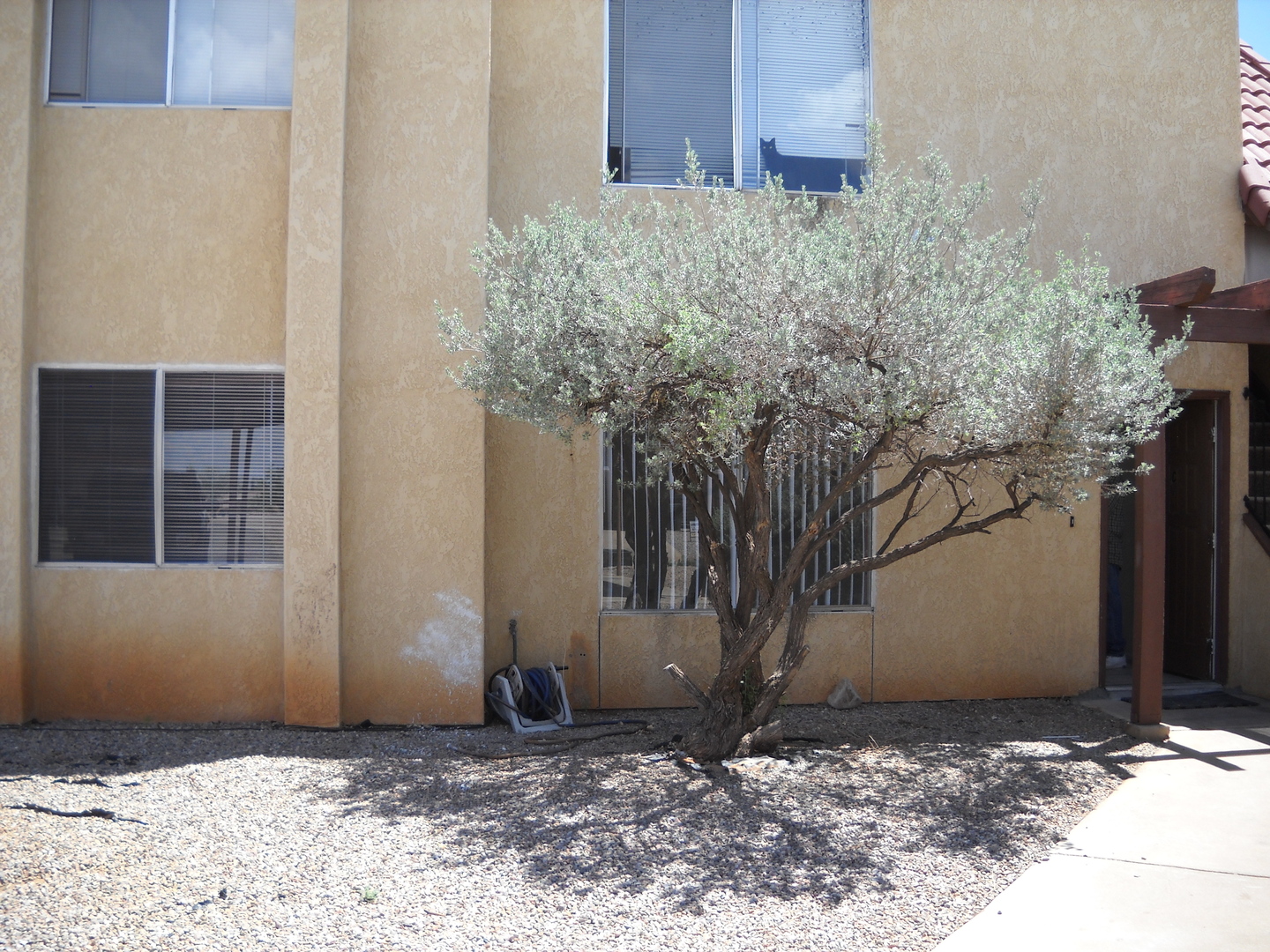 Sierra Vista House: 4150 Calle Ladero #C