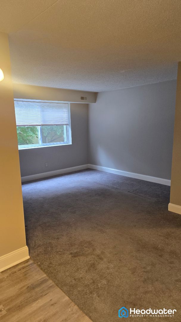 Media Apartment: 60 State Road