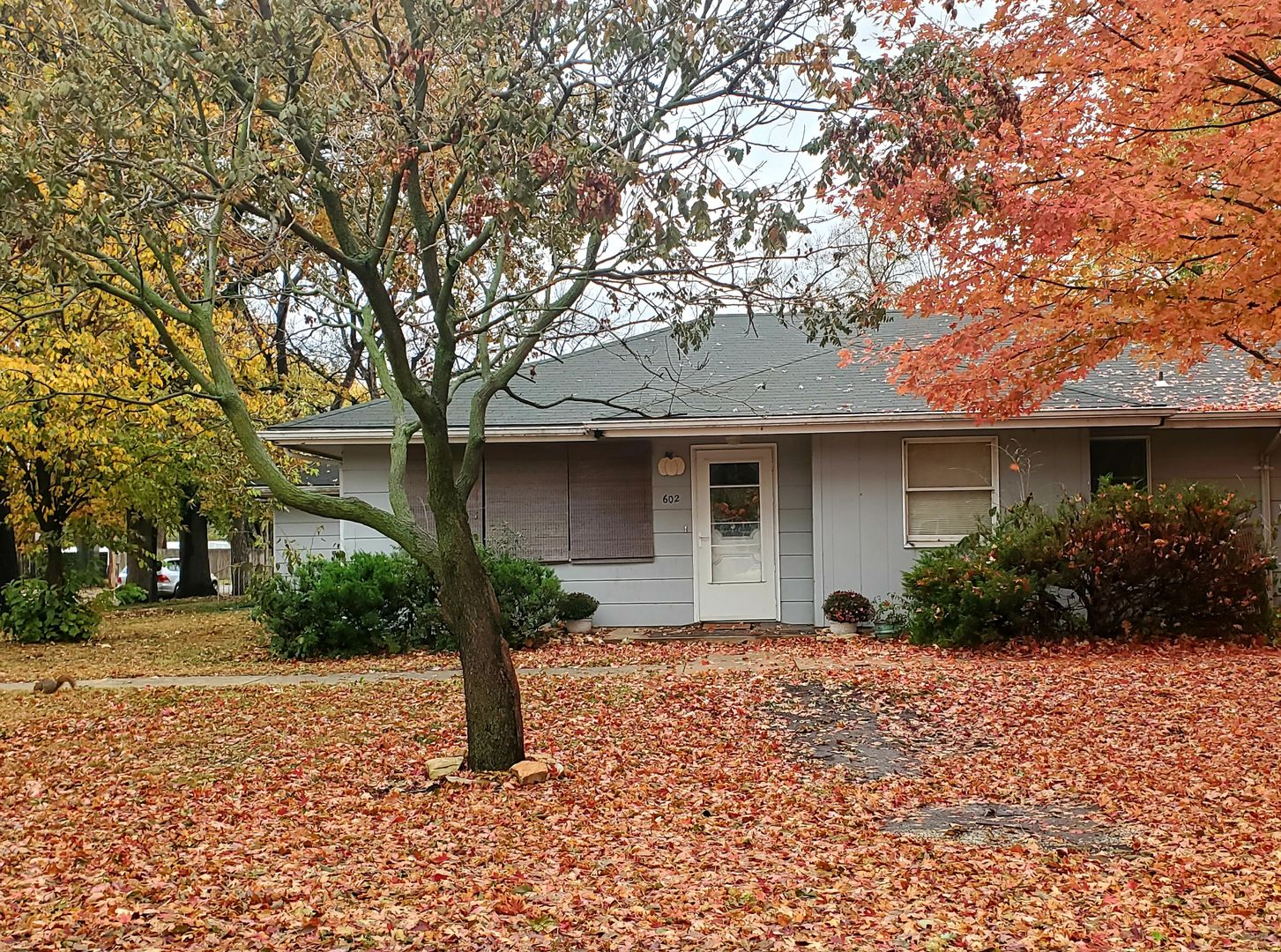 Rossville Apartment: 123/127