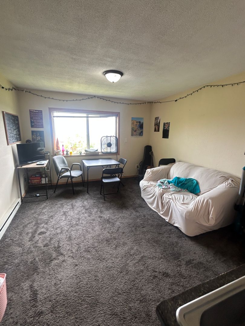 Duluth Apartment: 827-829 E 3rd St