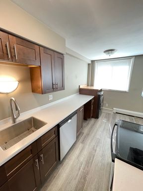 AVAILABLE SEPTEMBER - Newly remodeled 1 Bed 1 Bath – photo 1