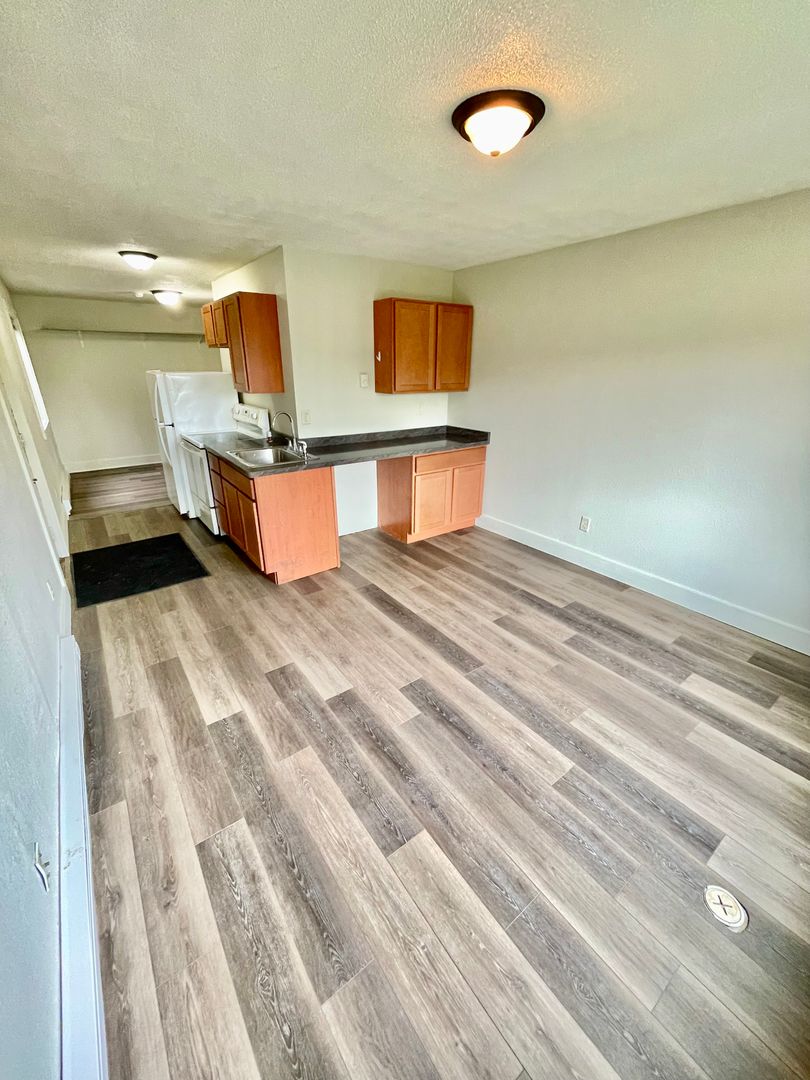 Duluth Apartment: 827-829 E 3rd St
