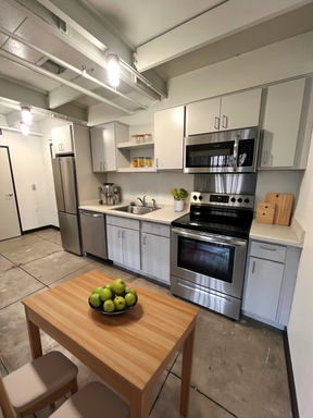 Leijona- August 10th - Elevated Downtown Living – photo 1