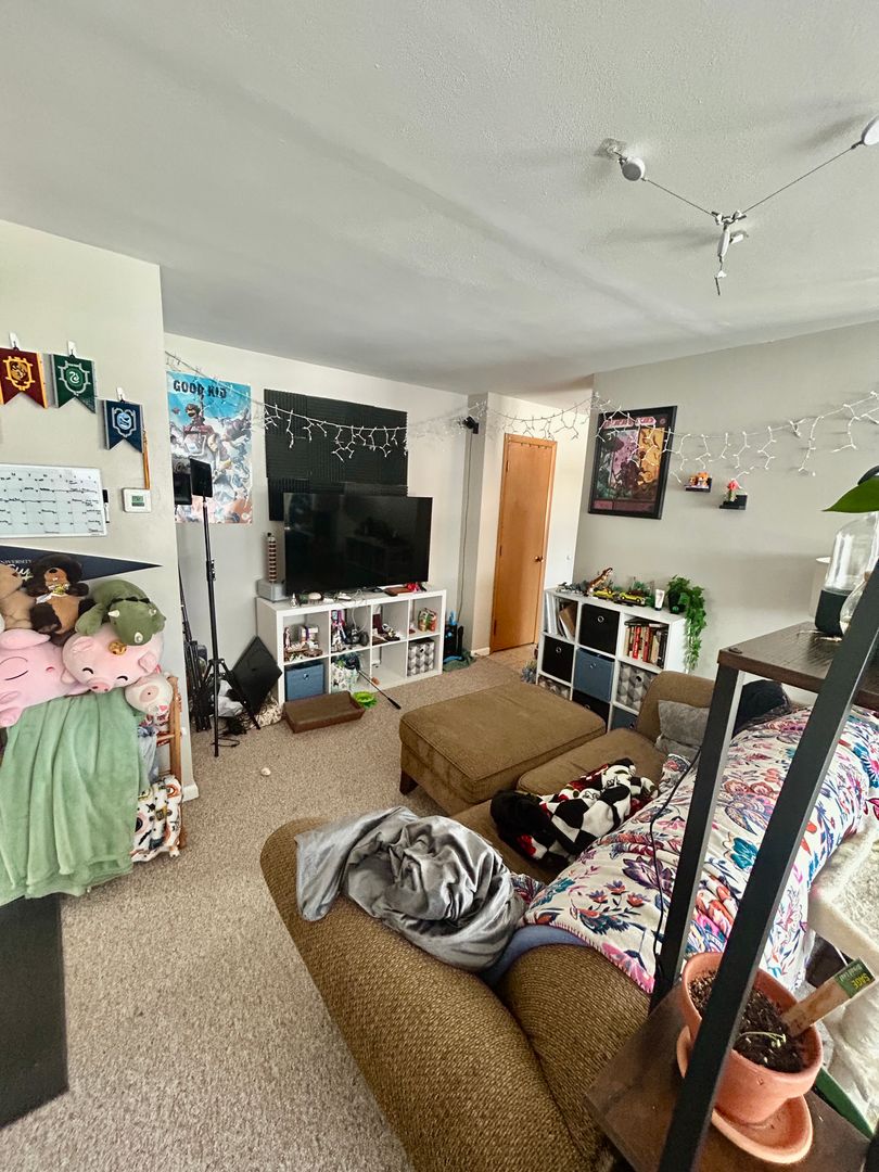 Duluth Apartment: 25 W Redwing St