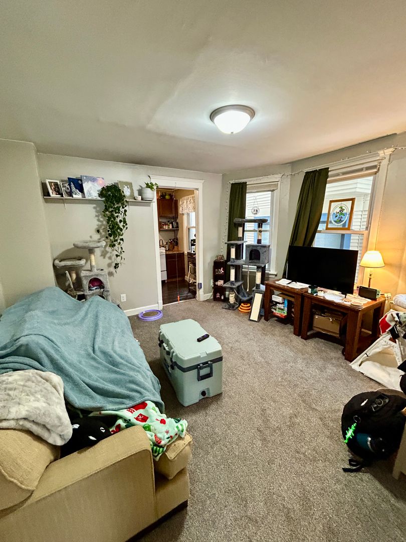 Duluth Apartment: 412 N 11th Ave E - #1