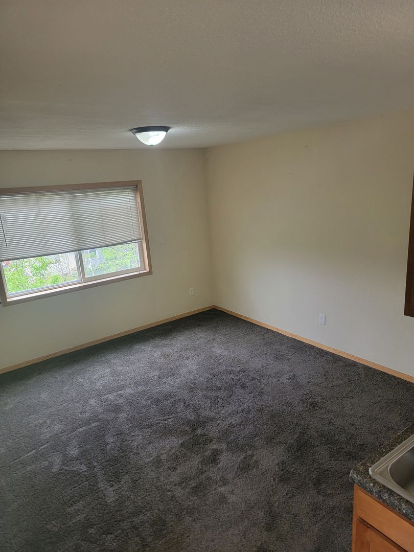 Duluth Apartment: 827-829 E 3rd St