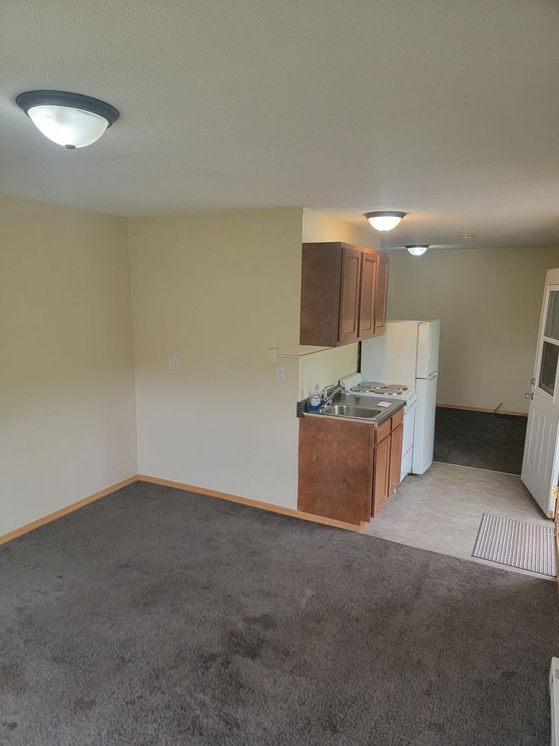 Duluth Apartment: 827-829 E 3rd St