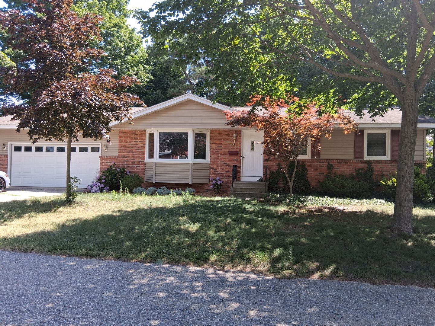 Spring Lake House: 210 Elm St