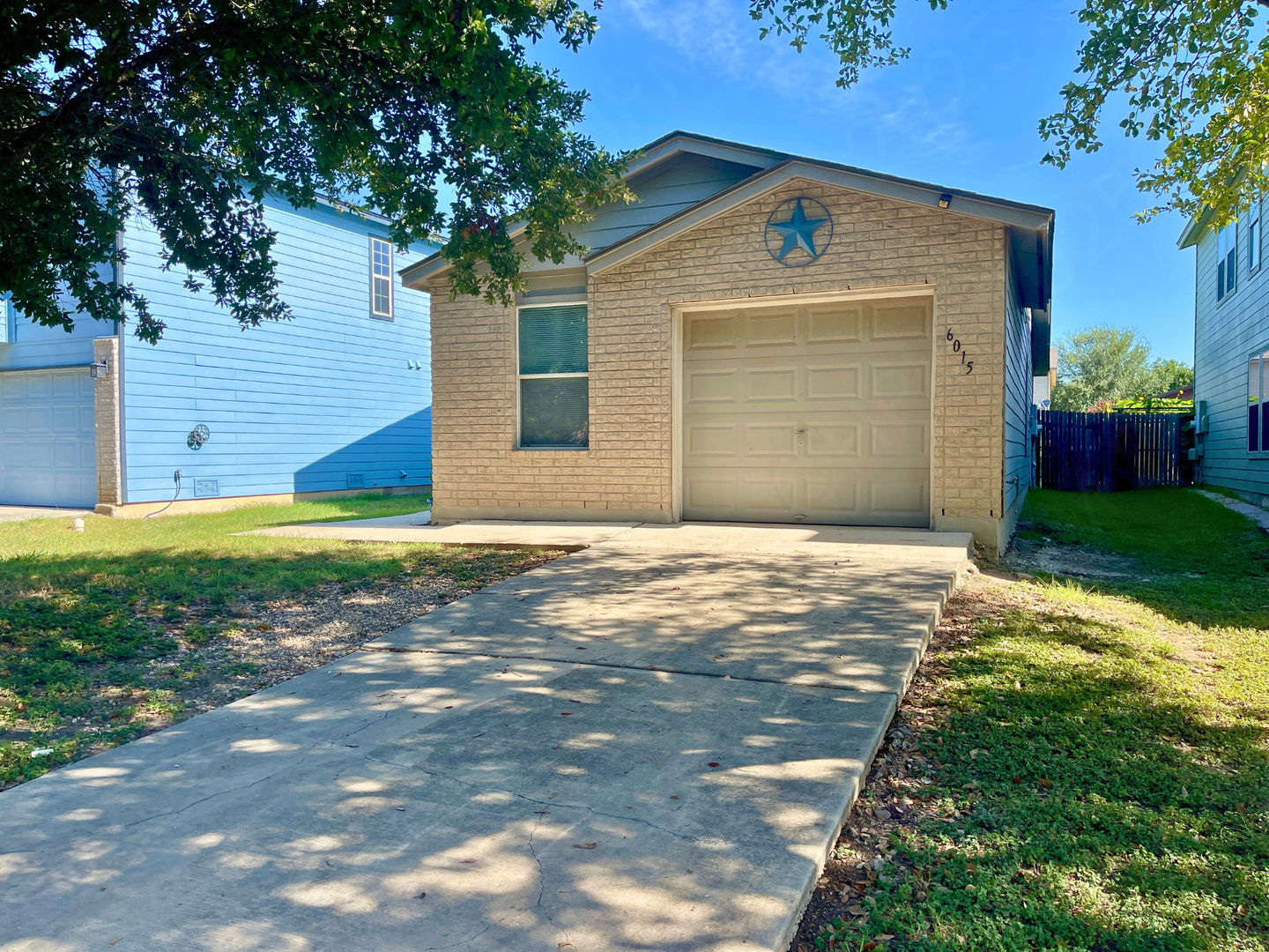 6015 Plumbago