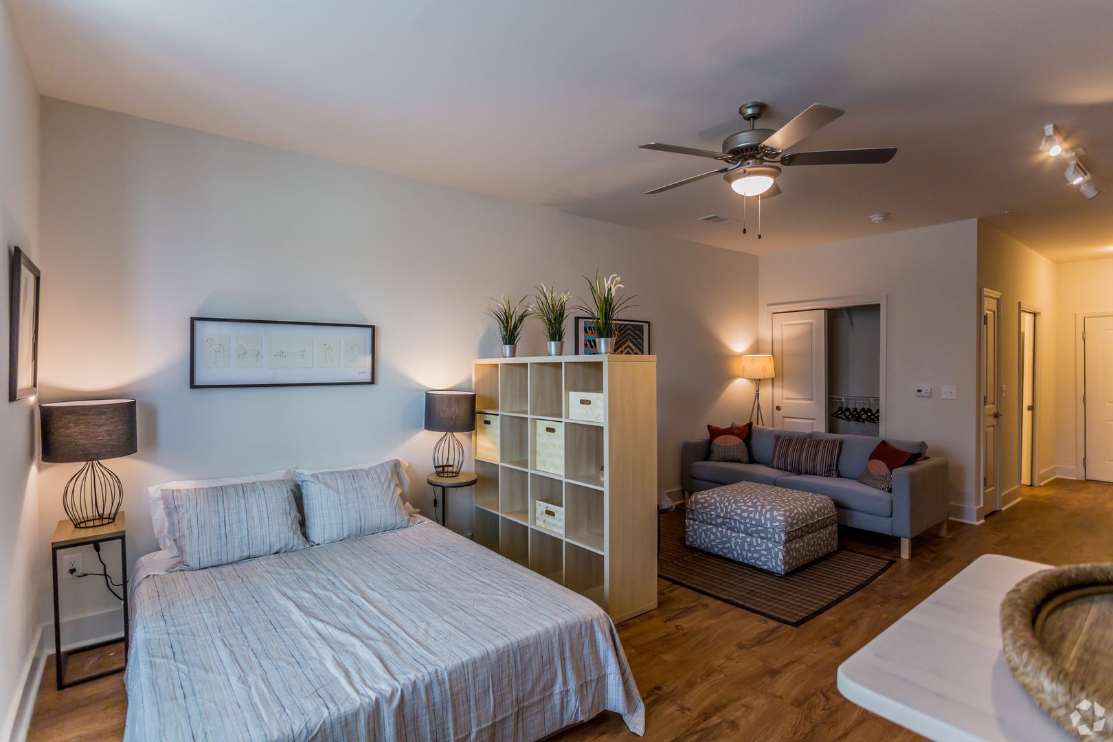 Memphis Apartment: 9 East Carolina Avenue