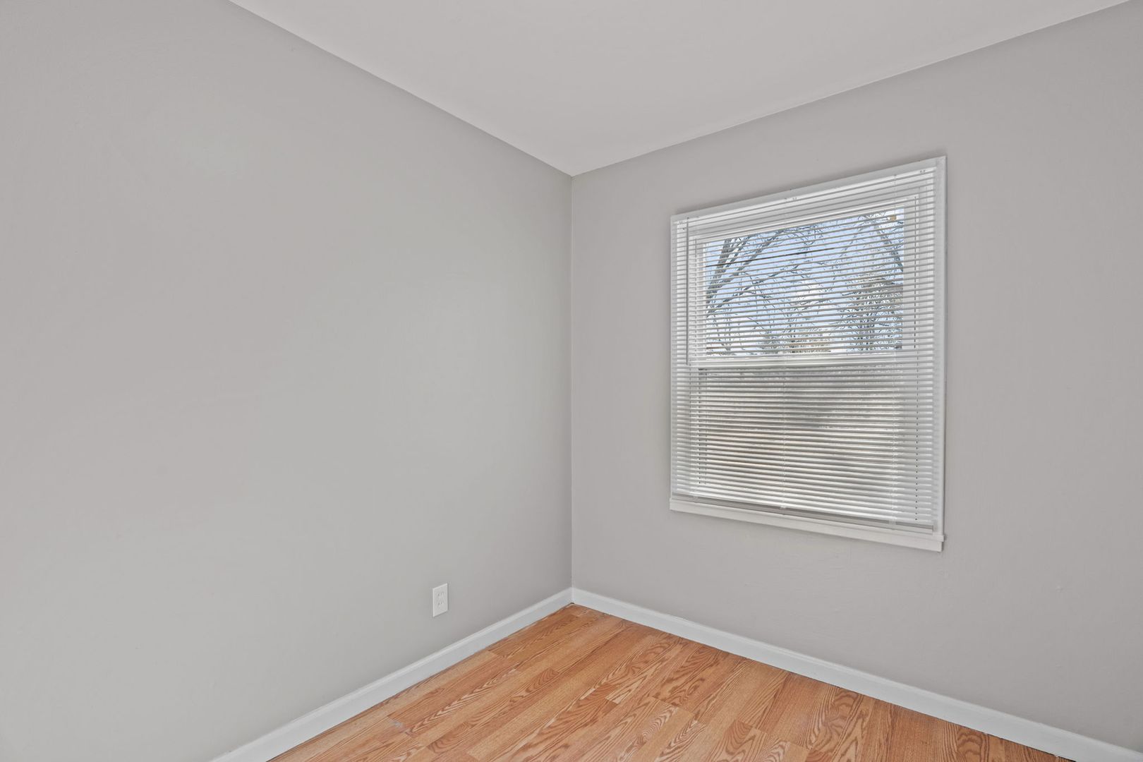 317 Cameron Road 8 of 12