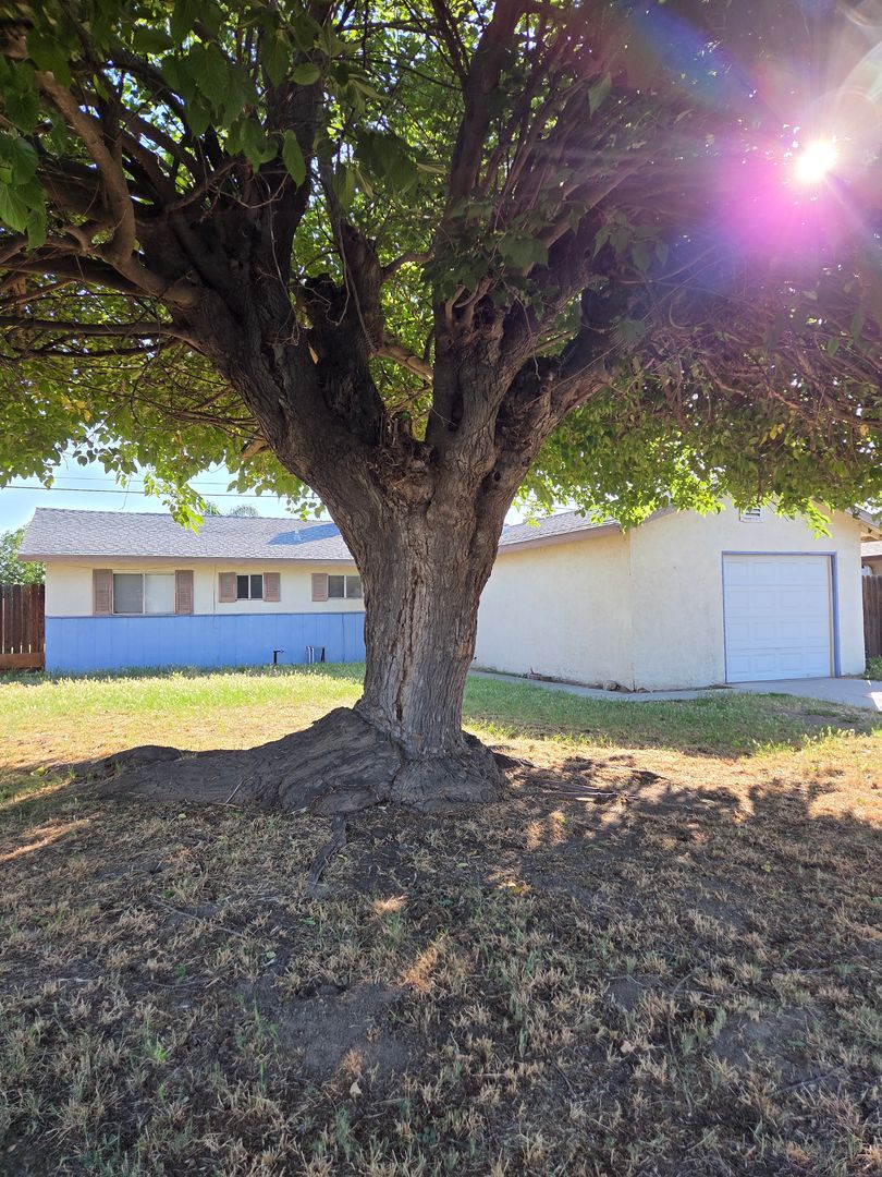 Hanford House: 1514 Hayden Ave