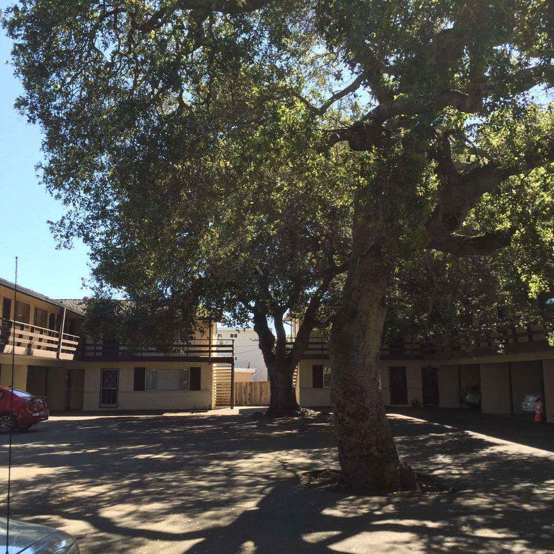 Menlo Park Apartment: 774 - 778 Coleman Avenue
