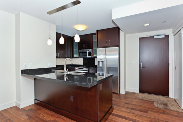 Honolulu Condo: 1189 Waimanu Street