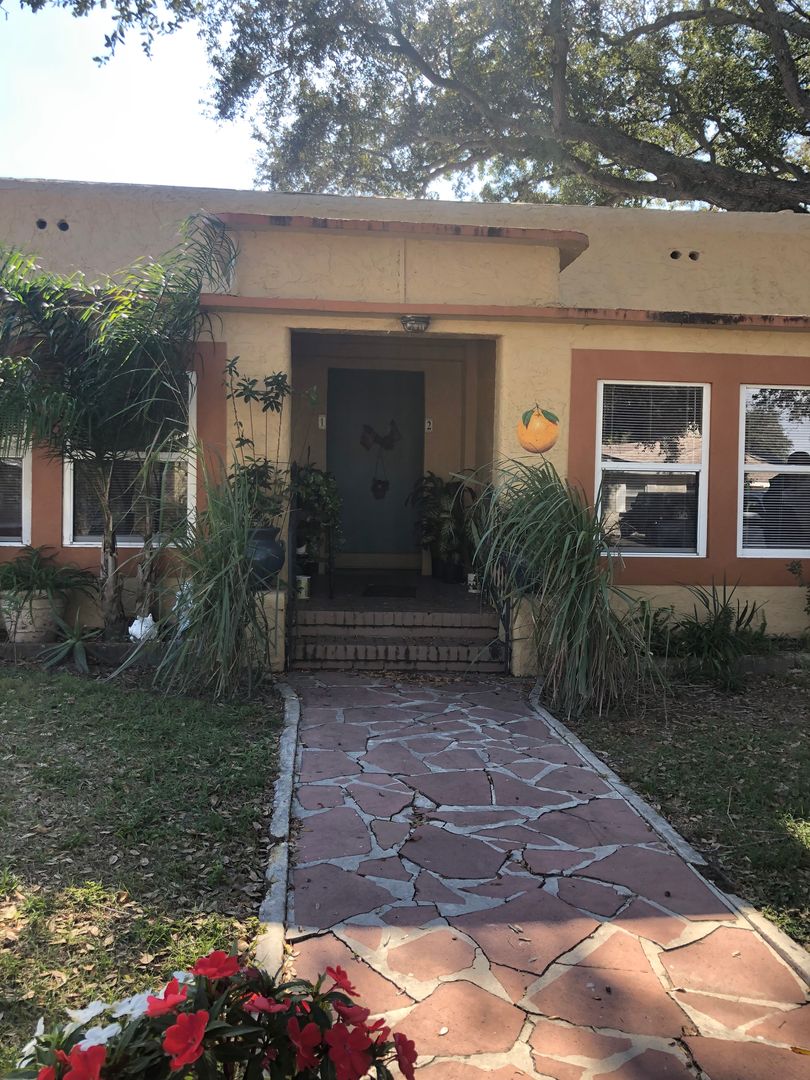 Dunedin Apartment: 419 Roanoke St.