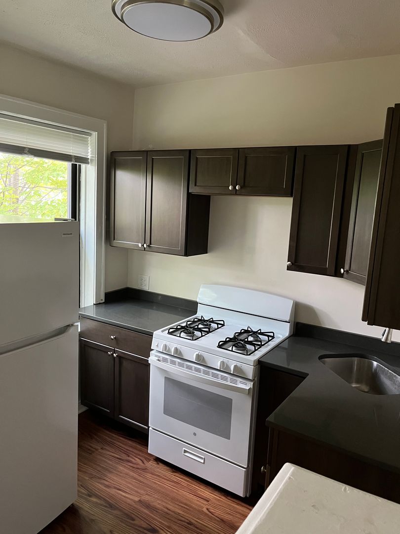 Chicago Apartment: 1858 N. Kedzie
