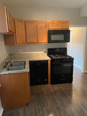 Rehabbed 3 Bedroom Apartment in Pilsen -Subletter Application – photo 1