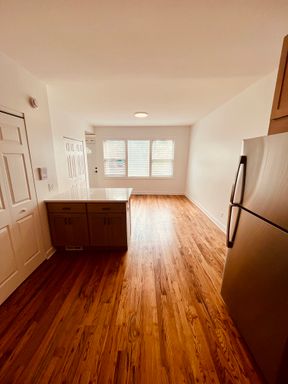 Gut Rehabbed 1 Bedroom Apt in Bucktown! – photo 1