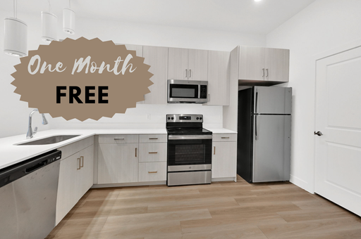 Luxury 1 Bedroom 1 Bathroom Apartment