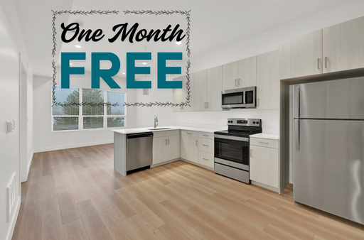 ADA-Accessible 1 Bedroom Apartment with Top Features & Great Location