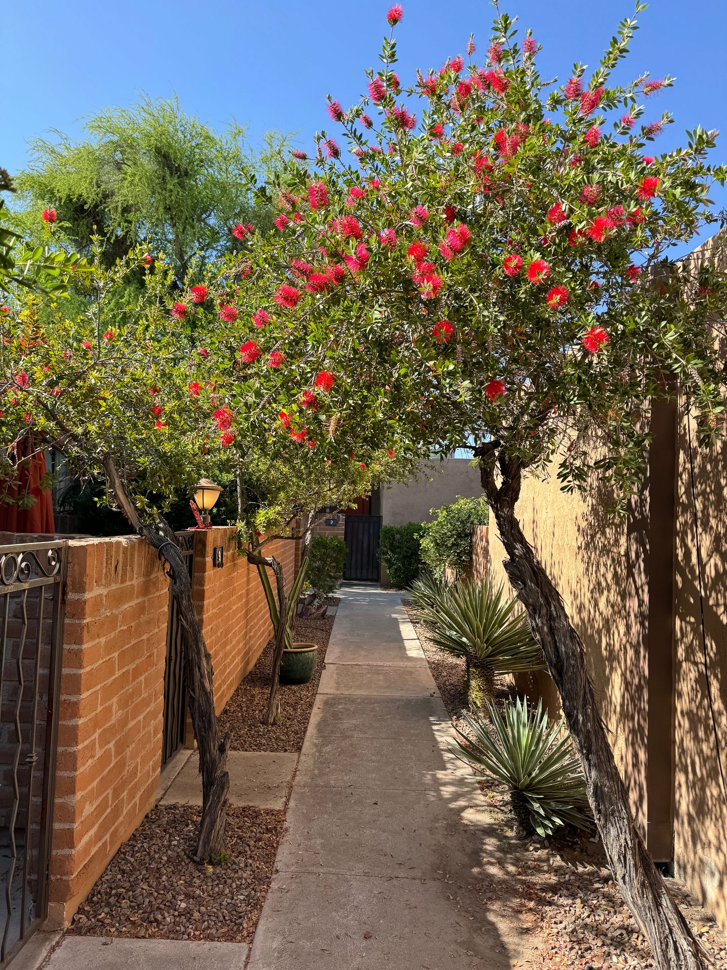 Tucson Apartment: 1725 E Limberlost Drive