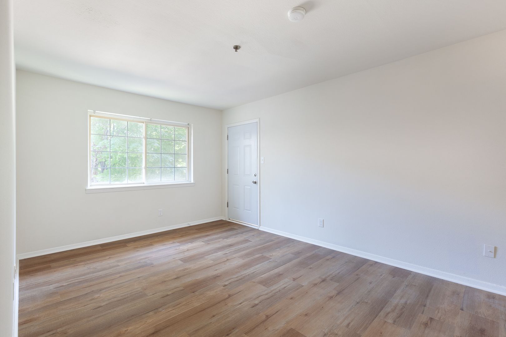 Beautiful, Fully Renovated 1bd/1ba Unit w/ Rear Deck in Ideal Smyrna Location! 4 of 12