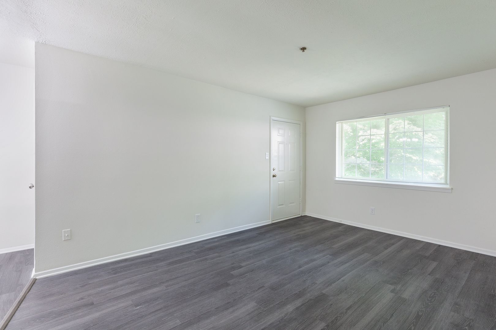 Beautiful, Fully Renovated 1bd/1ba Unit w/ Rear Deck in Ideal Smyrna Location! 4 of 12
