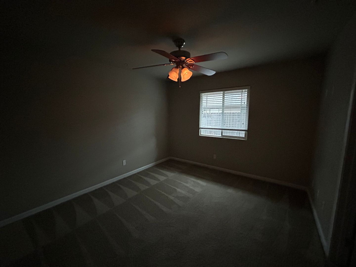 Slide Photo #69