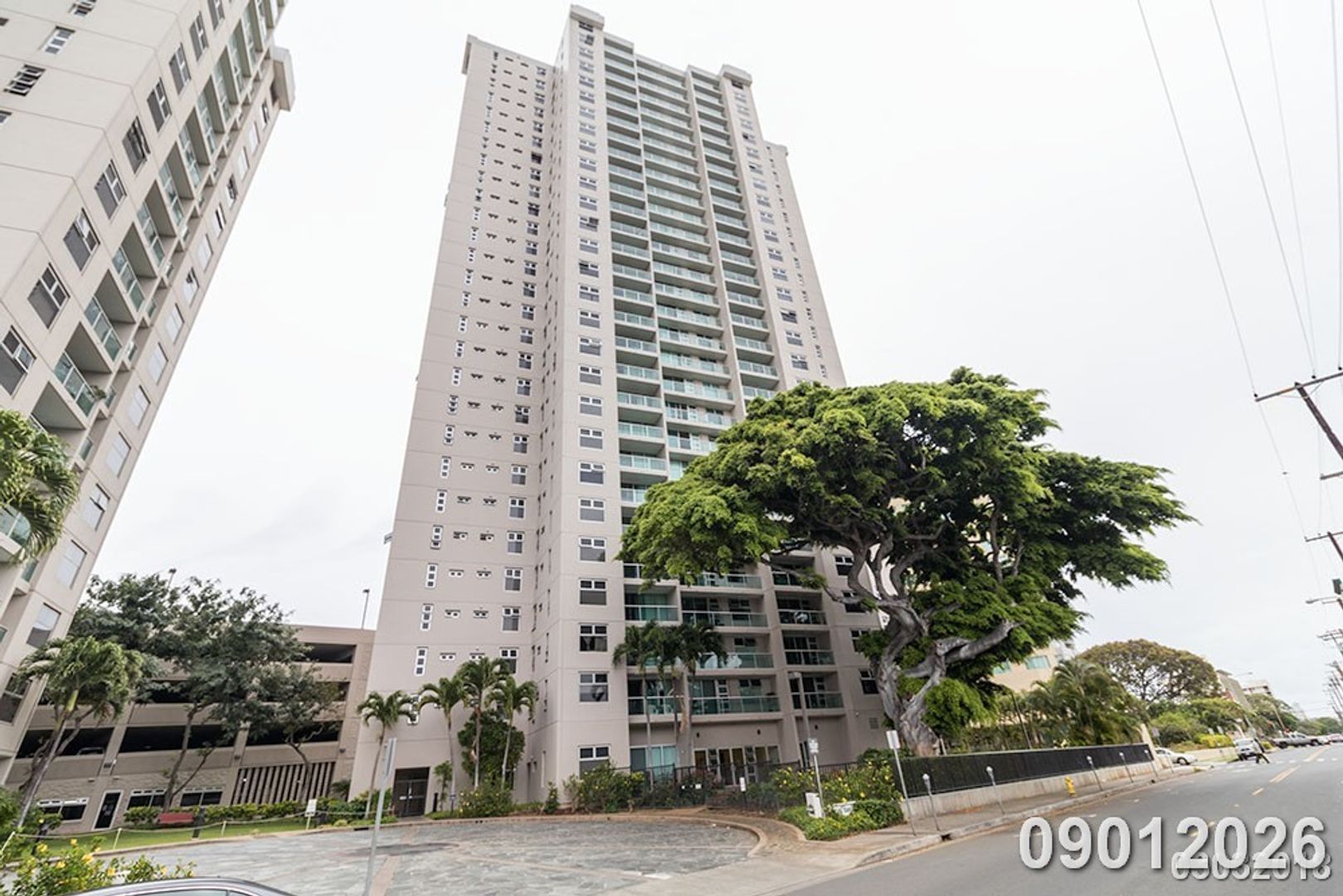 Honolulu House: 1450 Young St. #1902