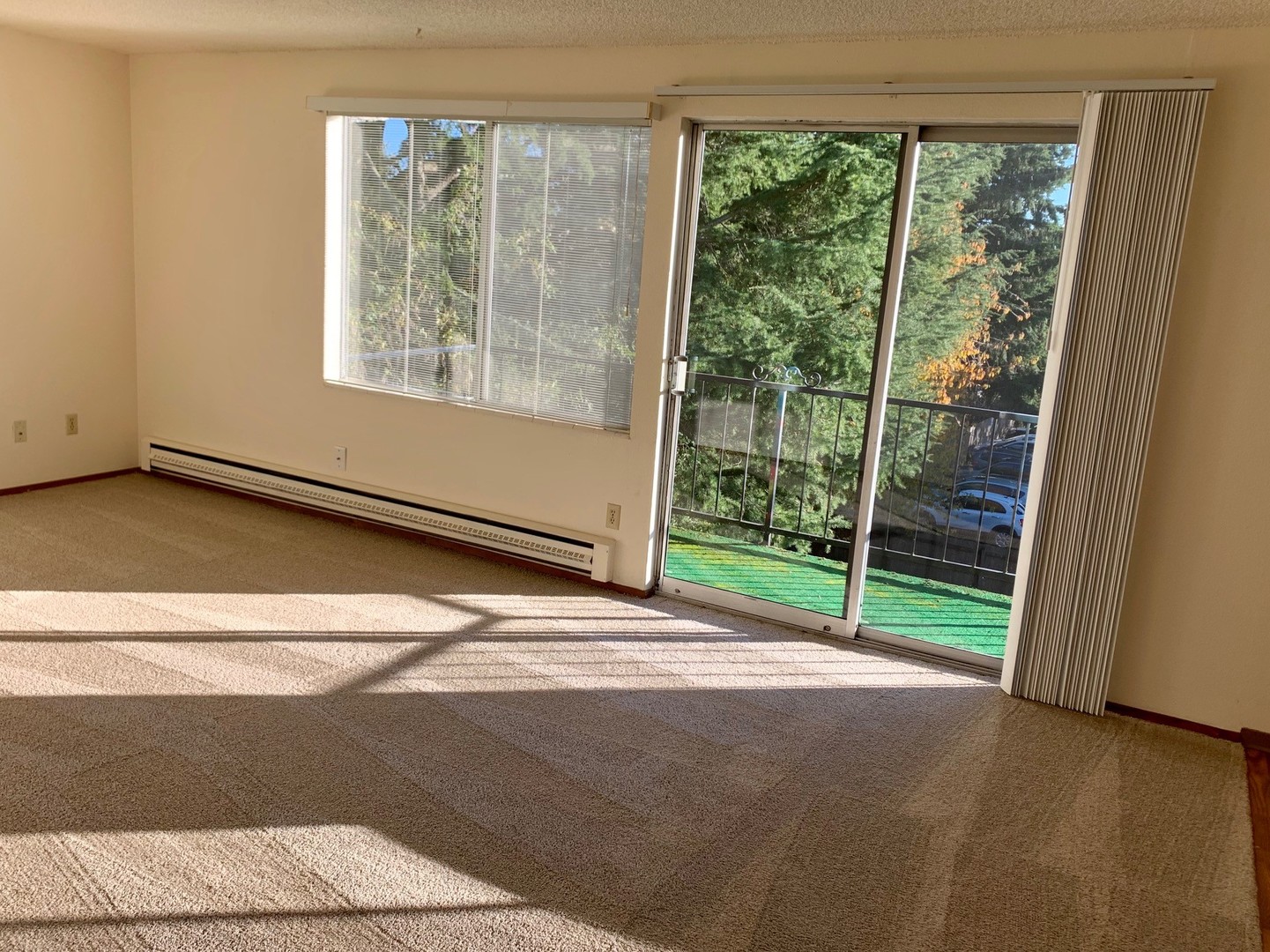 Seattle Apartment: 407 N 87th St